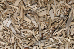 biomass boilers Tumby Woodside